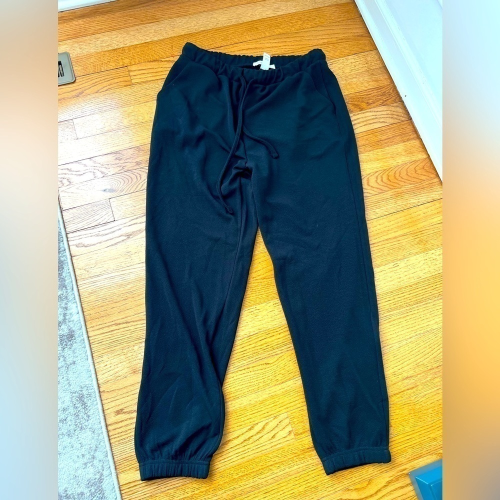 Birch and Stone Black Jogger Pants Size Large